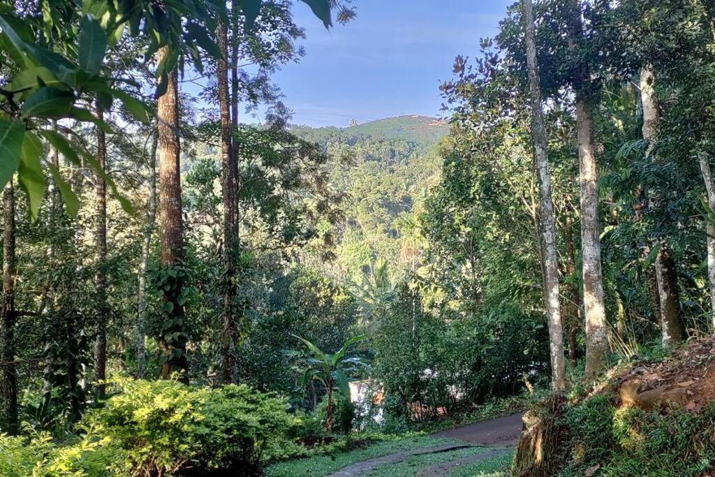 Coffee Camp Home Stay With Tree House Kattappana Exterior foto