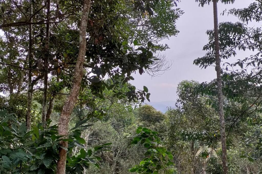 Coffee Camp Home Stay With Tree House Kattappana Exterior foto