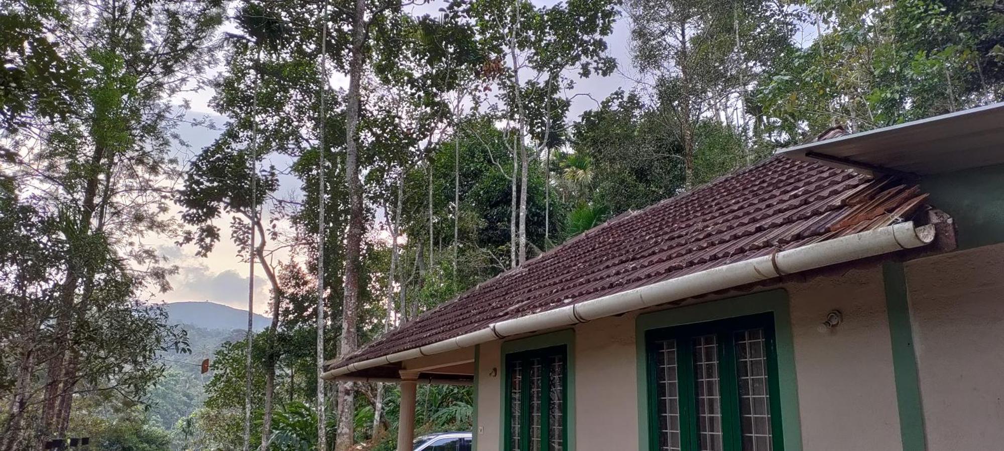 Coffee Camp Home Stay With Tree House Kattappana Exterior foto